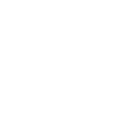 Apple Inc. logo